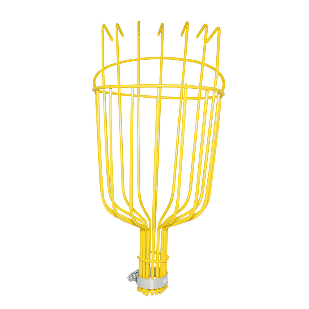 Recolectores de fruta